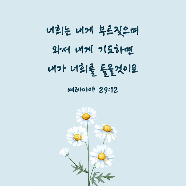 기도 성경 말씀카드,