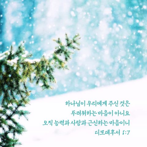 디모데후서,사랑성경구절,