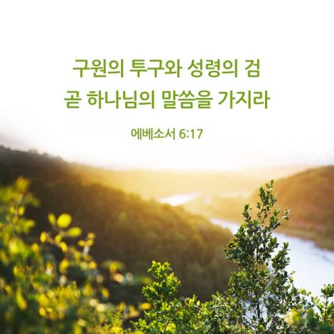 성경 말씀 카드,