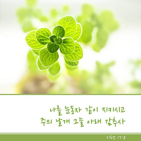 사랑에 관한 성경 구절,