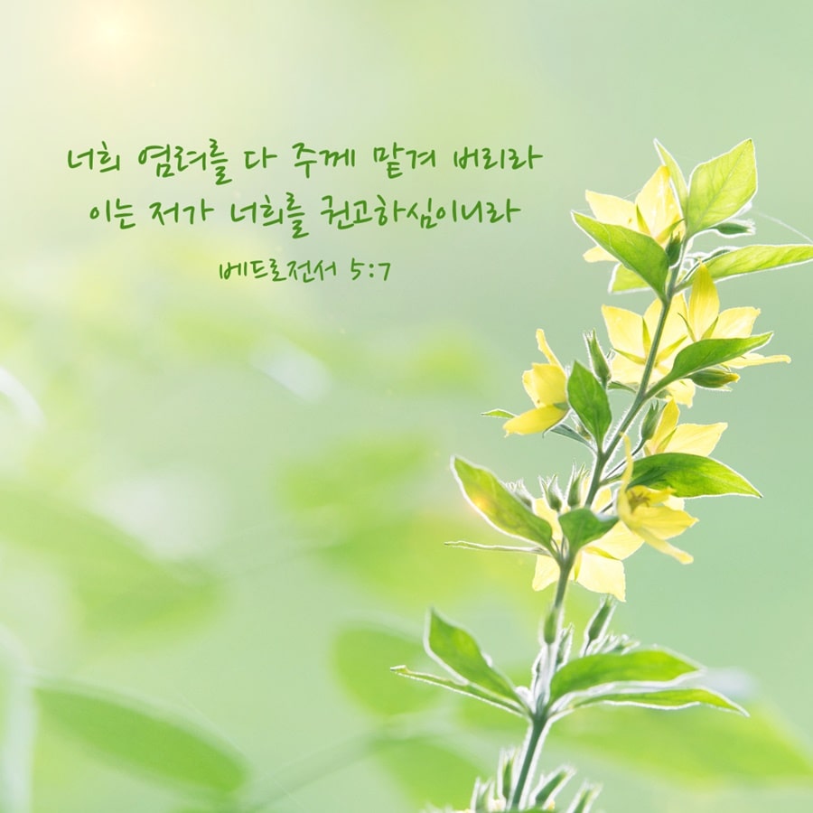 믿음 성경 구절] 너희 염려를 다 주께 맡겨 버리라