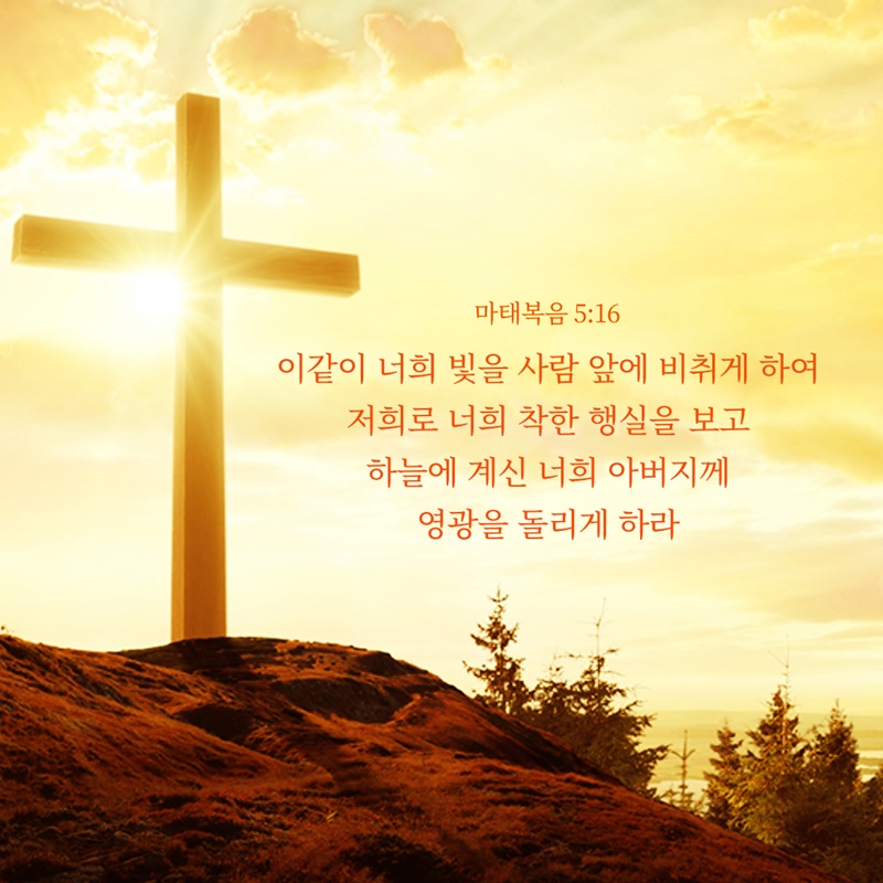 좋은 성겨 구절,