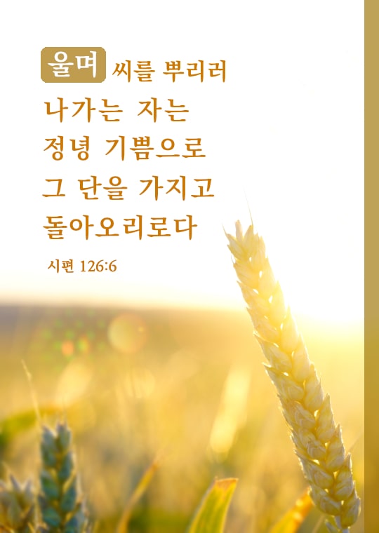 좋은 성경구절] 울며 씨를 뿌리러 나가는 자
