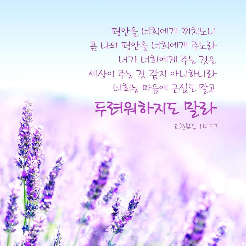 힘이 되는 성경구절,요한복음,