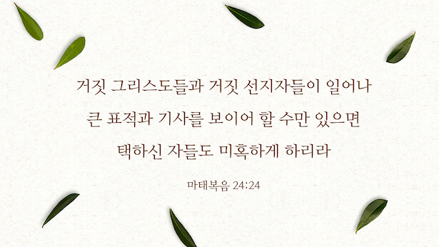 매일 성경 묵상,성경 묵상 카드,