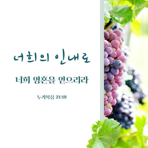 좋은 성경 말씀,좋은 성경 구절,짧고 좋은 성경 구절,