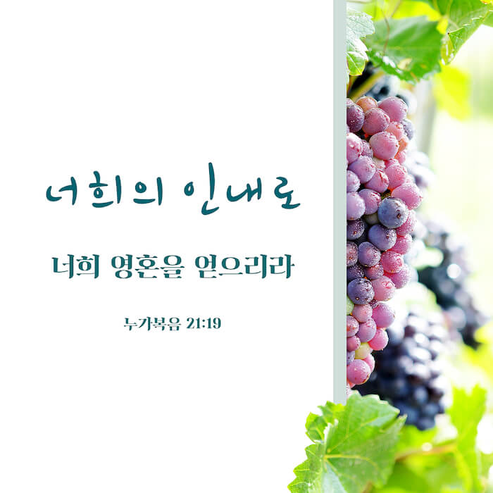 좋은 성경 말씀,좋은 성경 구절,짧고 좋은 성경 구절,