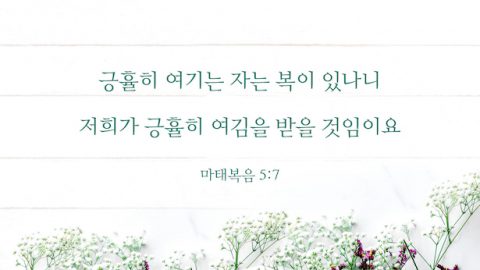 매일 묵상 카드,성경 묵상 카드,