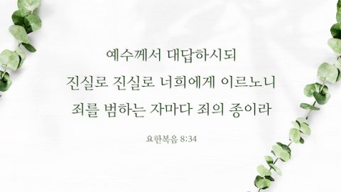 죄에 관한 성경구절,죄 성경구절,