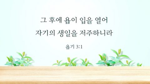욥기 3장 1절,욥기 3잘 해설,