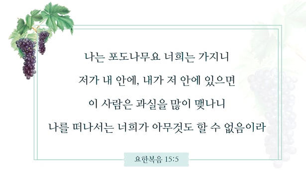 요한복음 15장,포도나무 비유,요한 복음 15 장 5 절