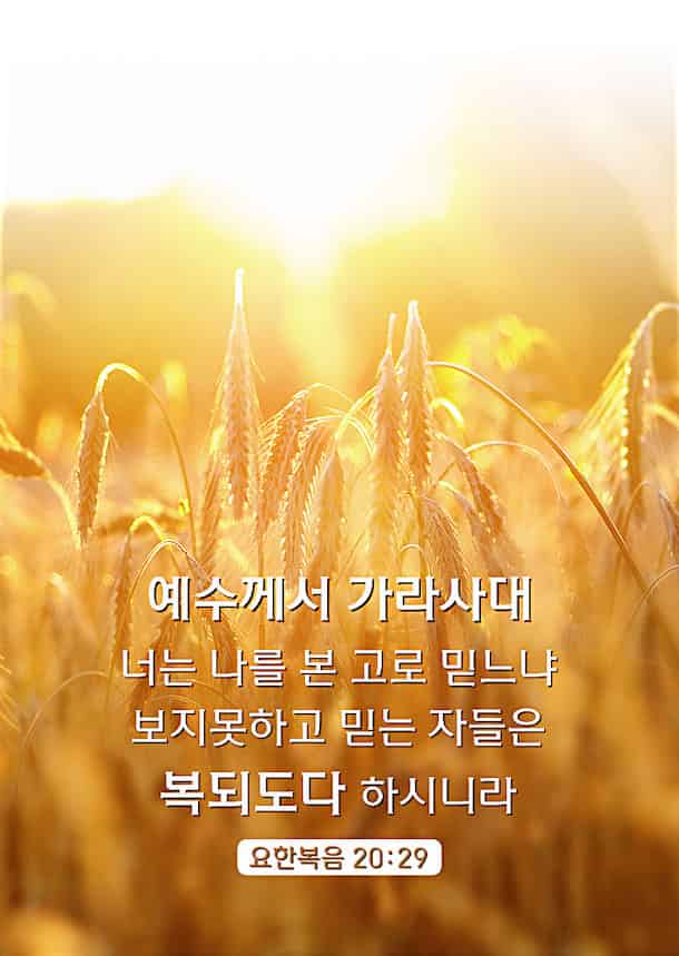 묵상 성경 구절] 보지못하고 믿는 자들은 복되도다