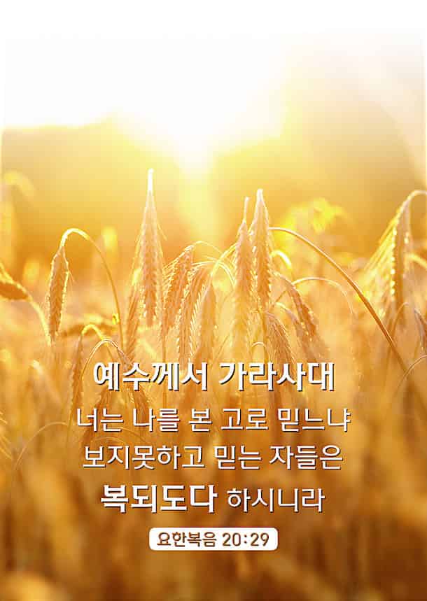 묵상 성경 구절,묵상 카드,좋은 성경 구절,