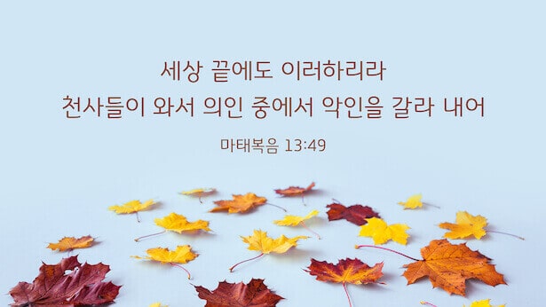 오늘의 묵상,오늘의 말씀,매일 성경,마태복음 13:49,