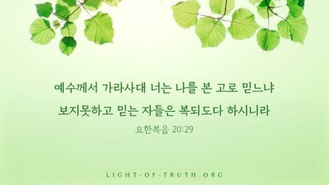 믿음 성경 구절,요한복음
